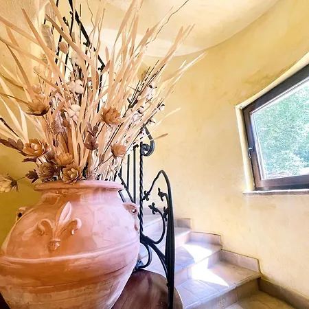 Pool And Jacuzzi - Charming In Umbria Montefiascone