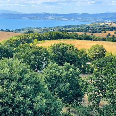 Pool And Jacuzzi - Charming In Umbria *
